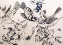 Sounder, 2002, graphite on paper