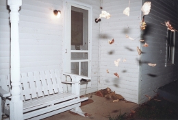 Falling Leaves, 2001, c-print&nbsp;