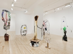 Michelle Segre, Lost Songs of the Filament, installation view at Derek Eller Gallery, New York&nbsp;